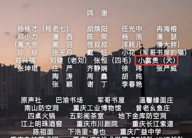 澳门三肖三码精准预测，揭秘数字背后的神秘力量，揭秘澳门三肖三码精准预测，数字背后的神秘力量