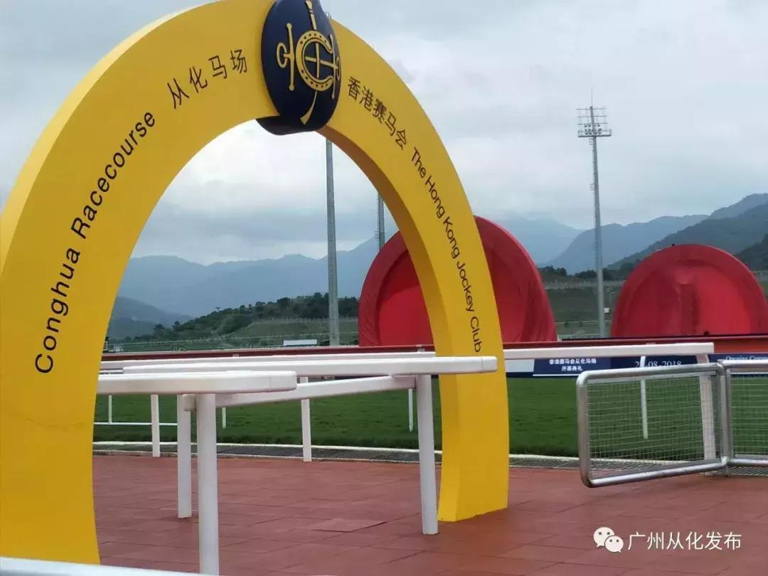探索香港正版马会精选资料大全，揭秘赛马世界的奥秘，揭秘香港马会赛马世界，探索正版精选资料大全