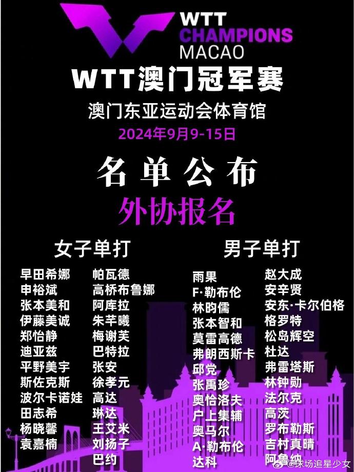 2024年新奥门王中王资料，揭秘未来赌王之争的神秘面纱，2024年新奥门王中王之争，未来赌王神秘面纱的揭秘