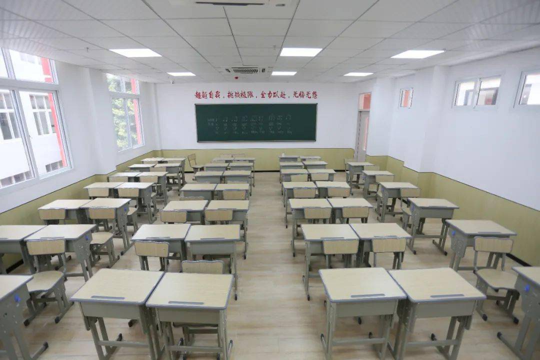 精准特马资料，揭秘数字背后的科学预测艺术，数字背后的科学预测艺术，精准特马资料的揭秘