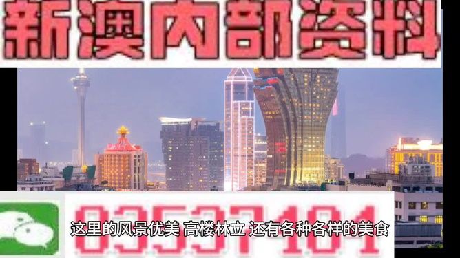 探索新澳，2024年最新资料概览，2024年新澳探索，最新资料概览