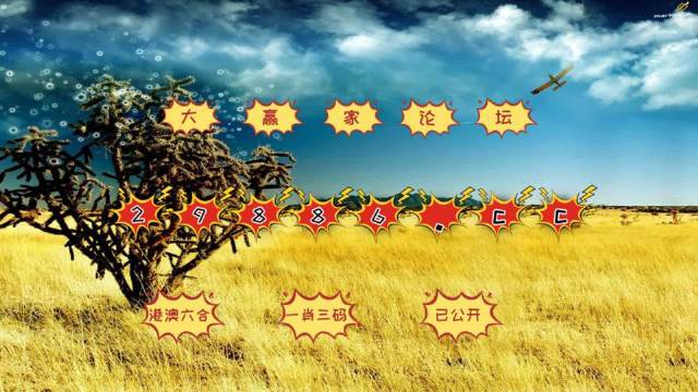 澳门4949开奖信息全解析，揭秘49图库的奥秘，澳门4949开奖信息深度解析，揭秘49图库的奥秘