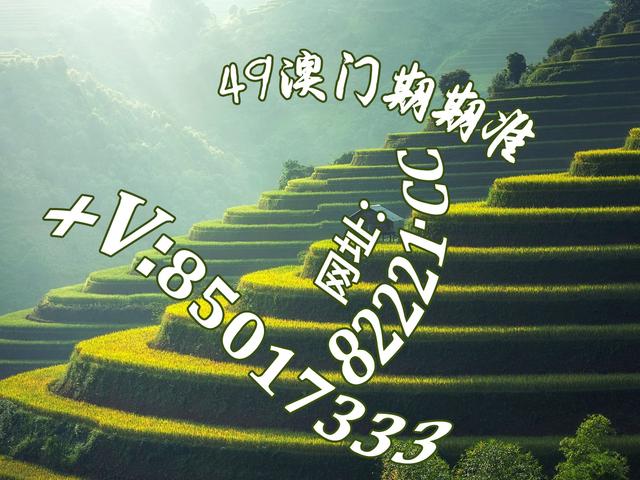 探索与分享