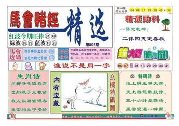 探索期期四肖选一肖的奥秘，理性与直觉的平衡，探索期期四肖选一肖的奥秘，理性与直觉的完美平衡