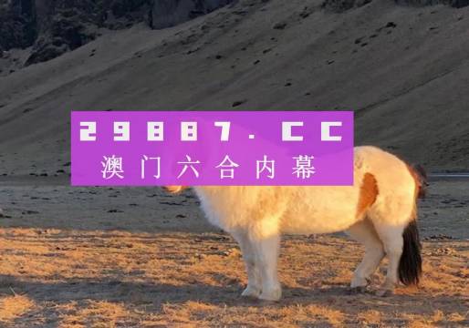 澳门彩，揭秘49选6的奇妙世界，揭秘澳门彩49选6的奇妙世界