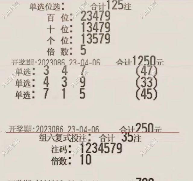 揭秘新澳2024今晚开奖结果，理性看待彩票与生活的平衡，新澳2024今晚开奖结果揭秘，理性看待彩票与生活的平衡