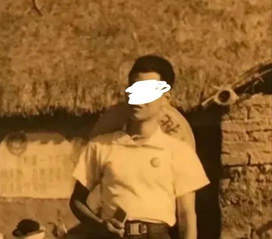 揭秘四肖选一肖中特特，深度解析与实战策略，揭秘四肖选一肖中特特，深度解析与实战策略
