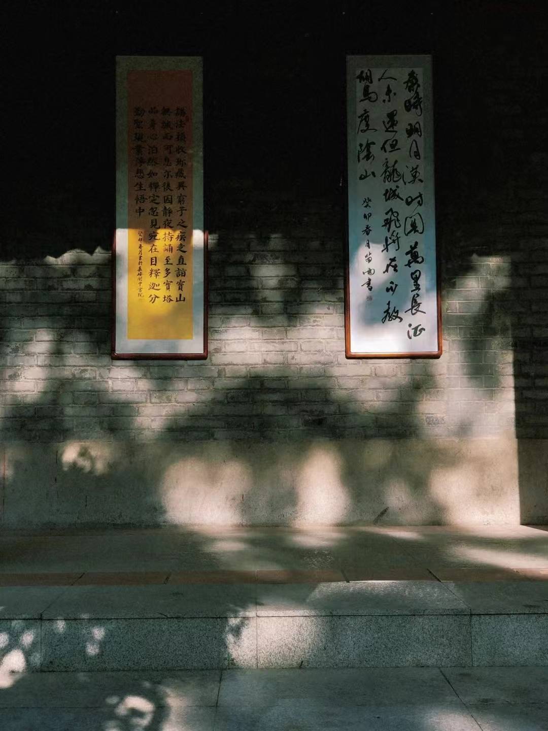 揭秘香港特码，历史、运作机制与公众影响，揭秘香港特码，历史、运作机制与公众影响