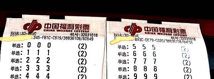 今晚一肖中特，揭秘生肖彩票的奥秘与理性态度，揭秘生肖彩票的奥秘，理性态度下的特肖预测