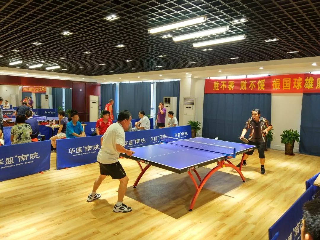 乒乓球直播，今日现场直播的激情与魅力，今日乒乓球直播，现场见证激情与魅力