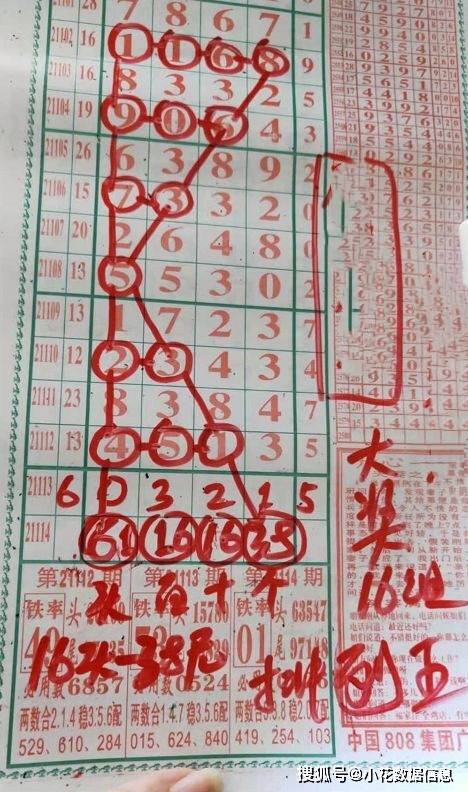 七星彩排列五，历史号码的奥秘与探索，探索七星彩排列五，历史号码的奥秘