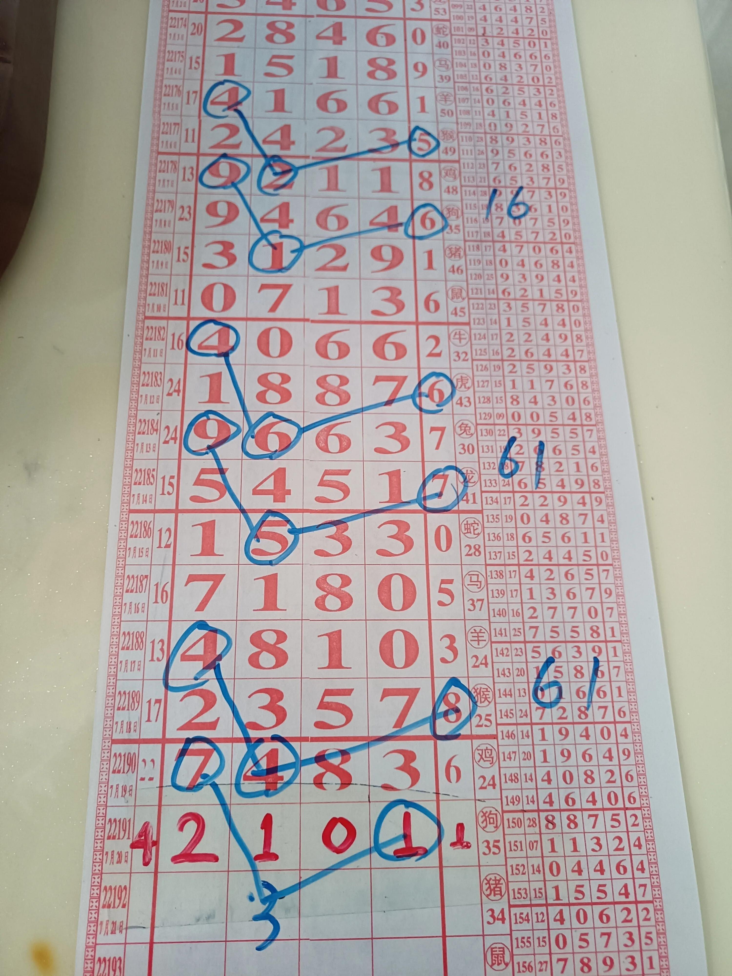 体彩排列五历史开奖号码详解，揭秘数字背后的规律与趋势，揭秘体彩排列五历史开奖号码，数字背后的规律与趋势