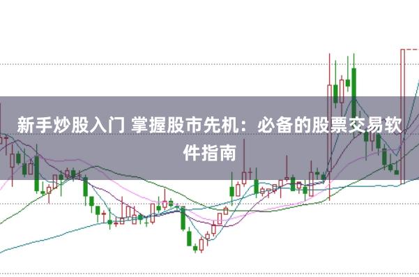 新手如何明智地买股票，从入门到实战的指南，新手投资指南，从入门到实战的明智买股策略
