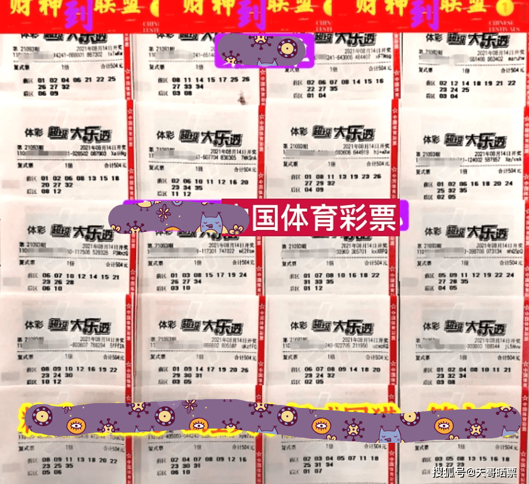 今晚体彩开奖号码揭秘，揭秘背后的概率与乐趣，揭秘今晚体彩开奖号码，概率与乐趣的双重体验