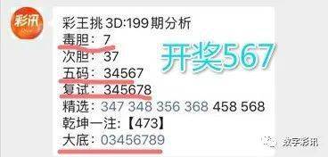3D毒胆胆码，专家视角下的精准推荐，专家视角下的3D毒胆胆码精准推荐