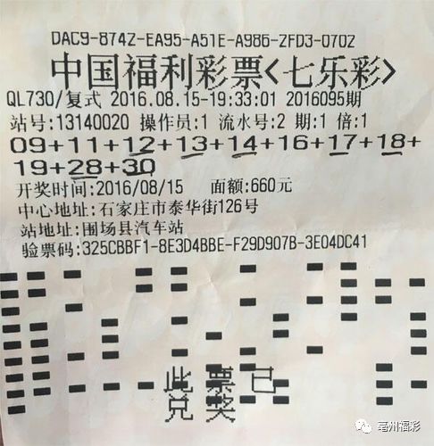 探索2002年3D彩票的历史开奖数据，一场数字游戏的盛宴与启示，2002年3D彩票，历史开奖数据的数字盛宴与启示