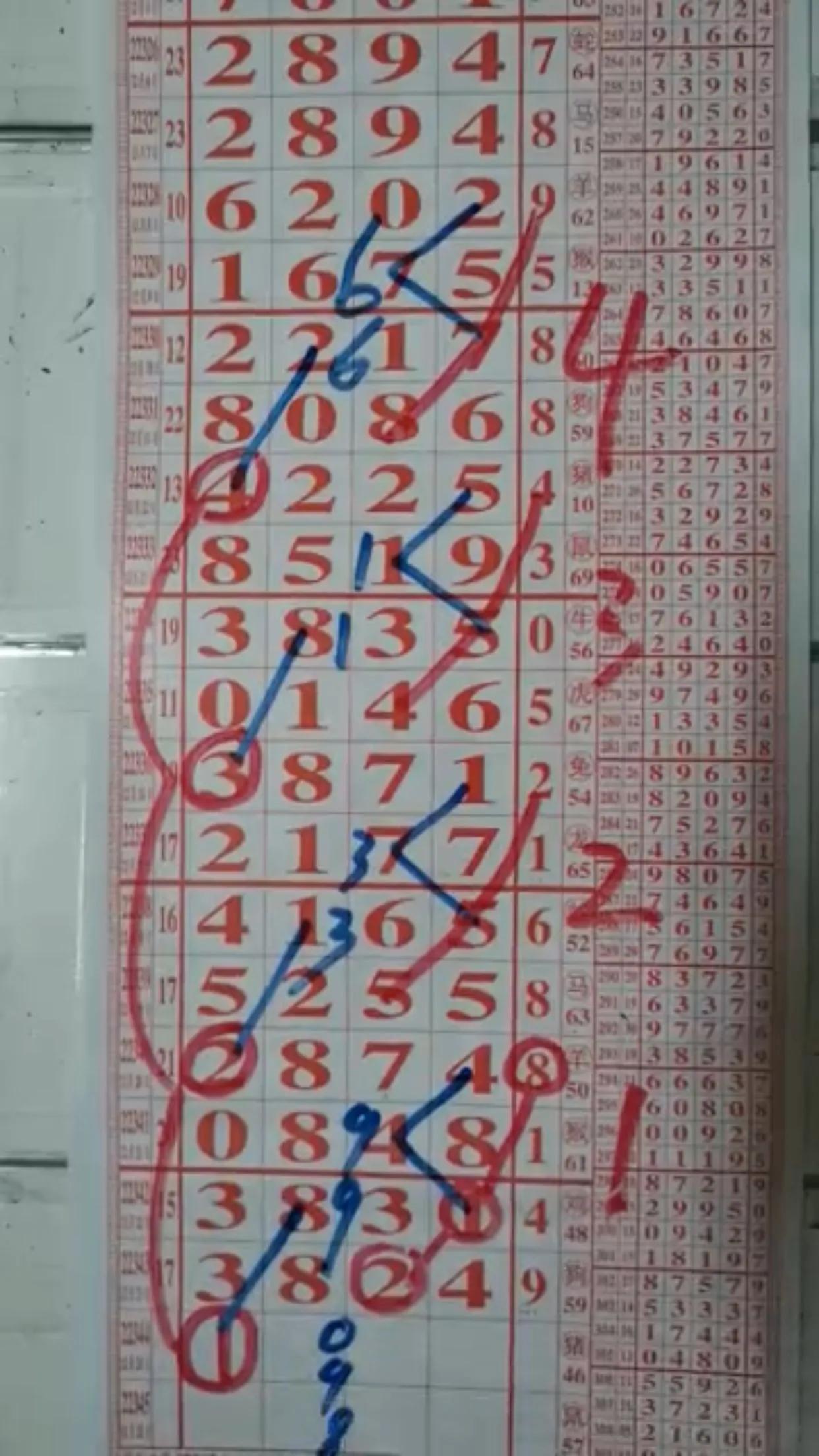 排列三开奖走势图2及更新100期深度解析，解析排列三开奖走势图，2期深度分析与100期更新