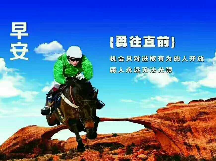 七位数彩票开奖记录，历史数据查询与趋势分析，七位数彩票历史开奖记录与趋势分析，解锁中奖密码