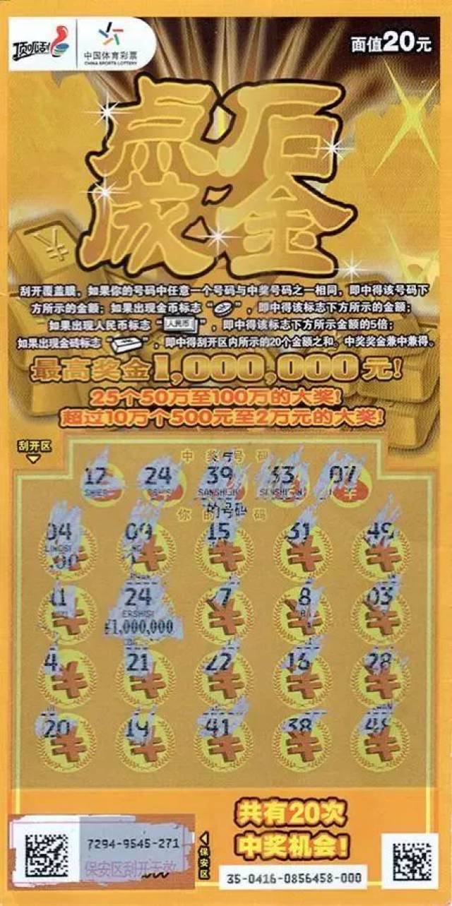 浙江省体彩20选5开奖结果，揭秘背后的数字游戏与公益力量，揭秘浙江省体彩20选5开奖结果，数字游戏与公益力量的双重奏鸣
