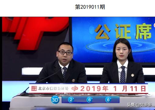 2019011期3D开奖结果深度解析与回顾，2019011期3D开奖结果，深度解析与回顾