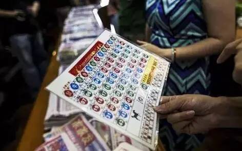 探秘香港六合彩，今日开奖结果揭秘与理性思考，香港六合彩开奖揭秘，理性思考与结果探索