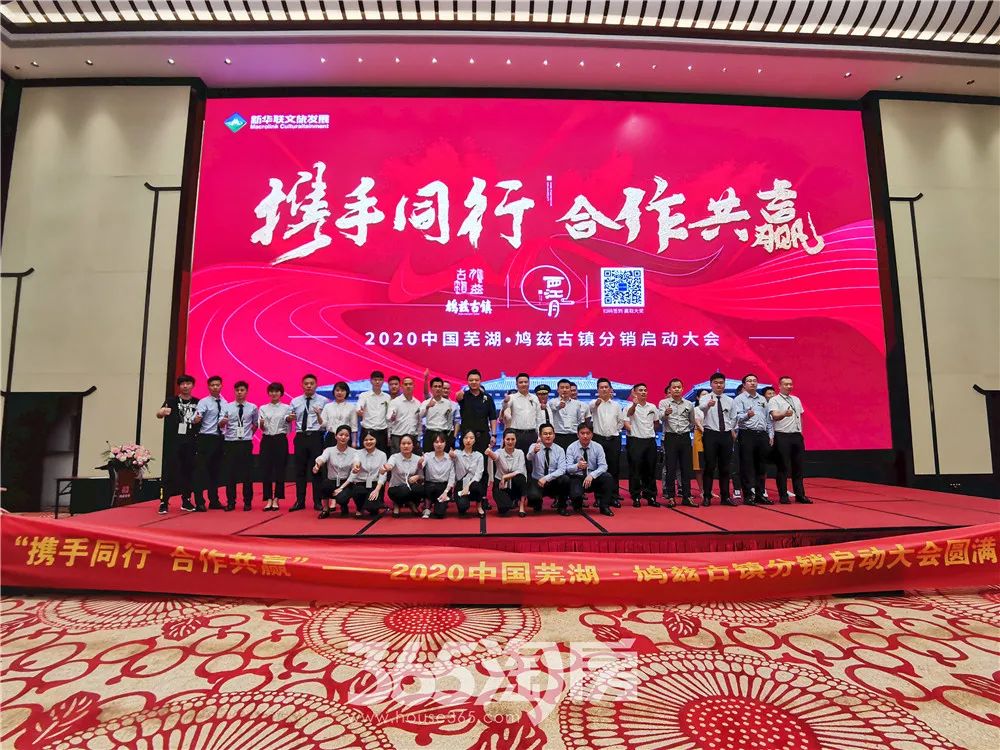 二八同行，今期之下的合作与共赢，二八同行，今期之下的合作与共赢策略