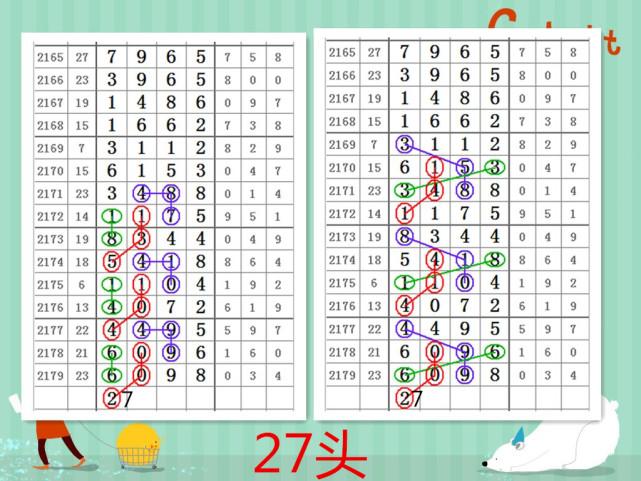 今晚七星加急，头尾的奥秘与启示，七星加急，头尾奥秘的启示与探索