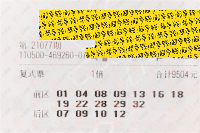 开奖结果深度解析