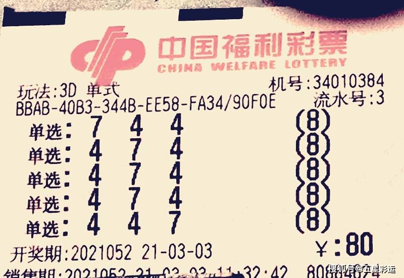 钟情预测福彩3D，理性与情感的平衡艺术，理性与情感的平衡艺术，福彩3D的钟情预测