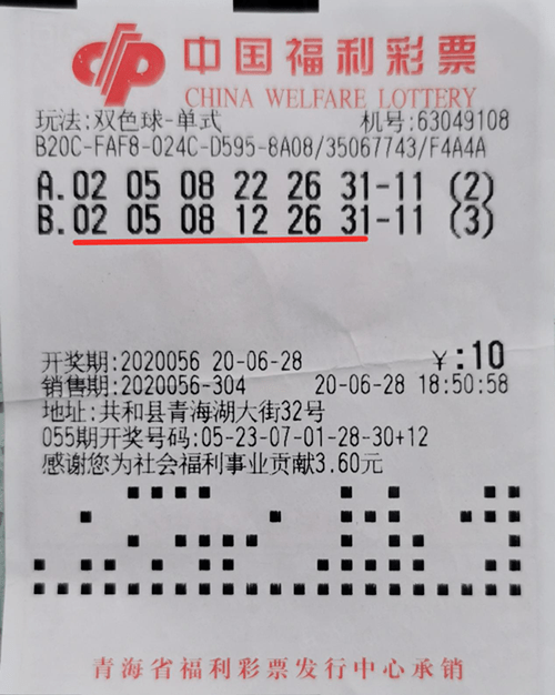 2019年双色球第95期开奖结果揭晓，幸运与希望的碰撞，2019年双色球第95期开奖结果，幸运与希望的碰撞
