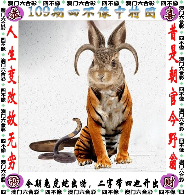 澳门四不像四肖一肖一码，揭秘澳门彩种预测的真相，揭秘澳门彩种预测，四不像四肖一码的真相