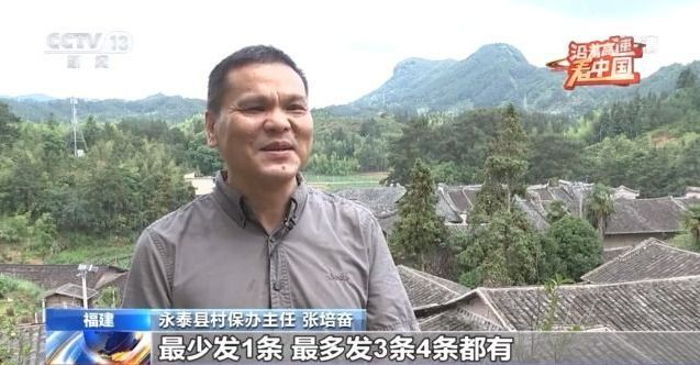 揭秘爱尔兰乐透彩票，开奖号码背后的故事与影响，揭秘爱尔兰乐透彩票，开奖号码背后的故事与影响