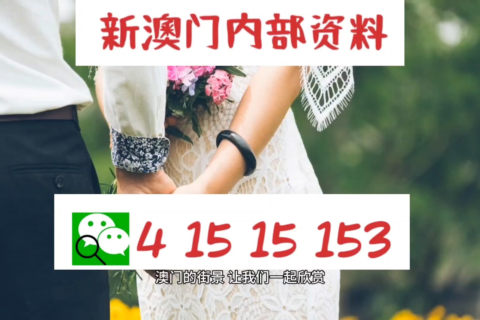 探索香港阿飞图库，看图区大全的独特魅力，香港阿飞图库，探索看图区大全的独特魅力