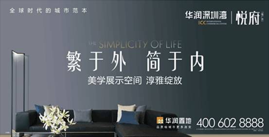 深圳风采周刊，创新之城，活力之都的魅力绽放，深圳风采周刊，创新之城，活力之都的魅力绽放