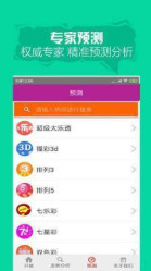 天天好彩246版资料大全，揭秘彩票背后的智慧与策略，揭秘天天好彩246版，智慧与策略的背后