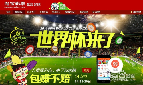 世界杯彩票，种类丰富，购买便捷的观赛新体验，世界杯彩票，丰富种类与便捷购买，打造全新观赛体验
