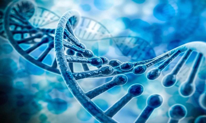 北京生物新冠疫苗，安全性的全面解析，北京生物新冠疫苗，全面解析其安全性