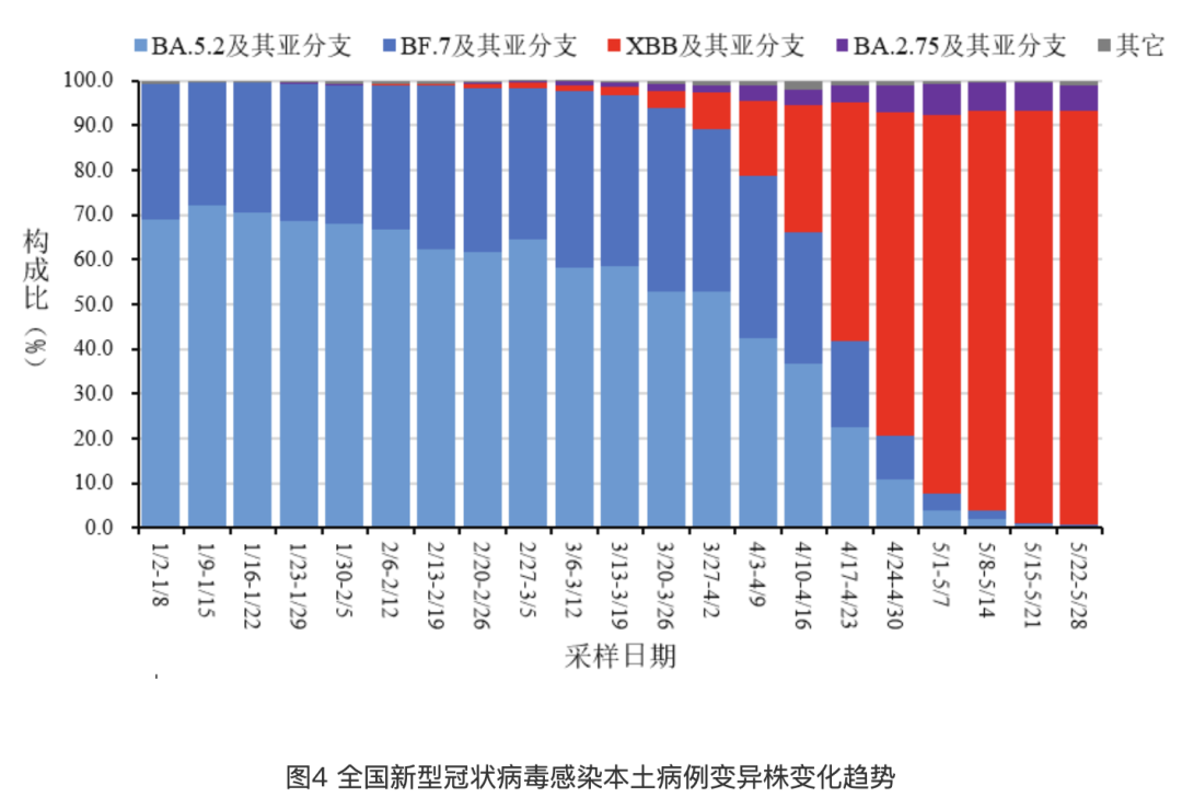 全球疫情下的沉重代价，新冠病毒全球死亡人数的深度剖析，全球疫情下的沉重代价，新冠病毒全球死亡人数的深度剖析