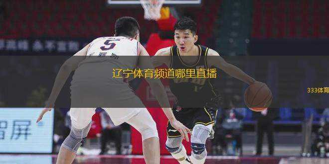 辽宁体育频道现场直播，激情与梦想的碰撞，辽宁体育频道，激情与梦想的现场碰撞