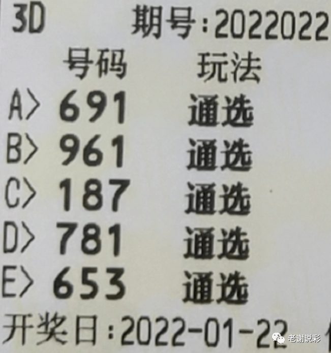 牛彩3d老道字谜，探寻数字背后的智慧与乐趣，牛彩3D老道字谜，解锁数字背后的智慧与乐趣