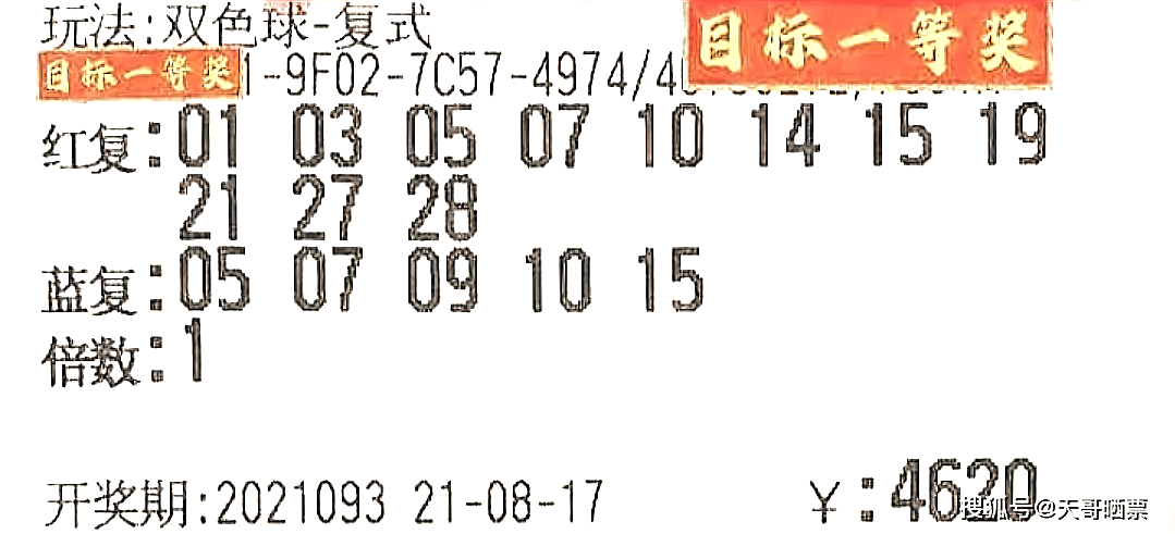 双色球230101期，晒票盛宴与理性购彩的平衡艺术，双色球230101期，晒票盛宴与理性购彩的智慧平衡
