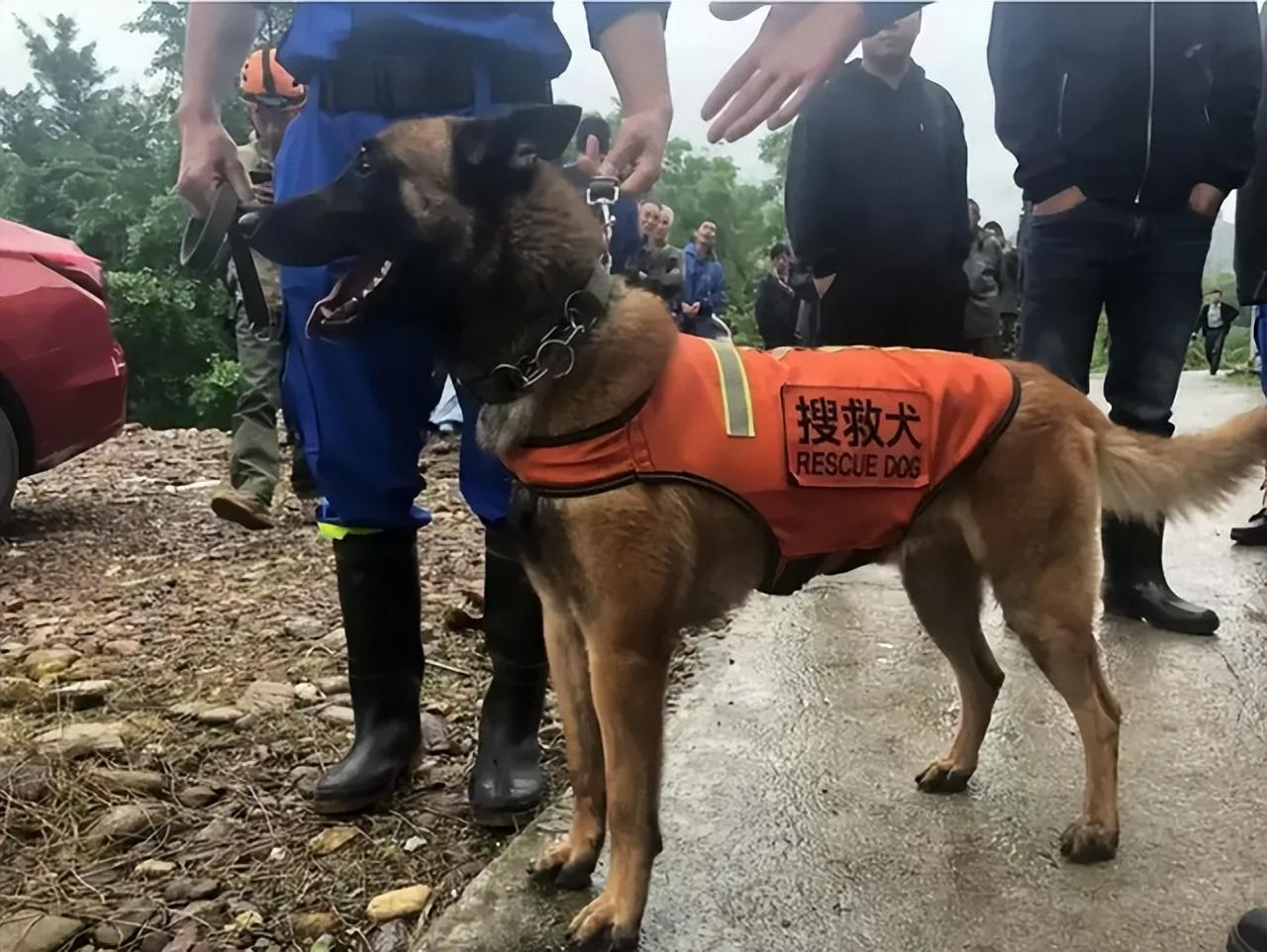 东航MU5735航班最后10秒客舱视频，生死边缘的瞬间与思考，东航MU5735航班最后10秒，生死边缘的客舱视频与思考