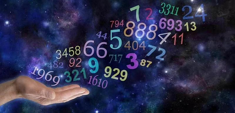 49图库，探索数字世界的视觉盛宴，49图库，解锁数字世界的视觉奇境
