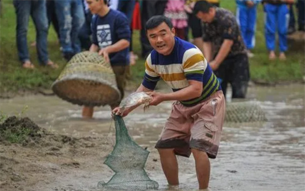 梦见捉鱼，深层次的潜意识解读与象征意义，梦见捉鱼，深层次潜意识解读与象征意义