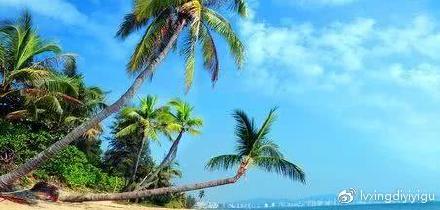 海南梦兆查询册，探寻热带天堂的神秘与未来，海南梦兆查询册，揭秘热带天堂的神秘与未来