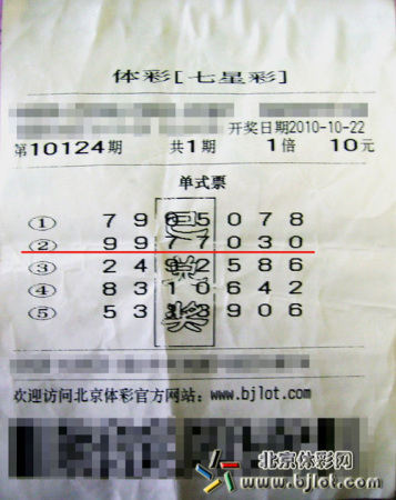 图纸上的梦境，大公鸡与七星彩的神秘交织，图纸上的梦境，大公鸡与七星彩的神秘交织