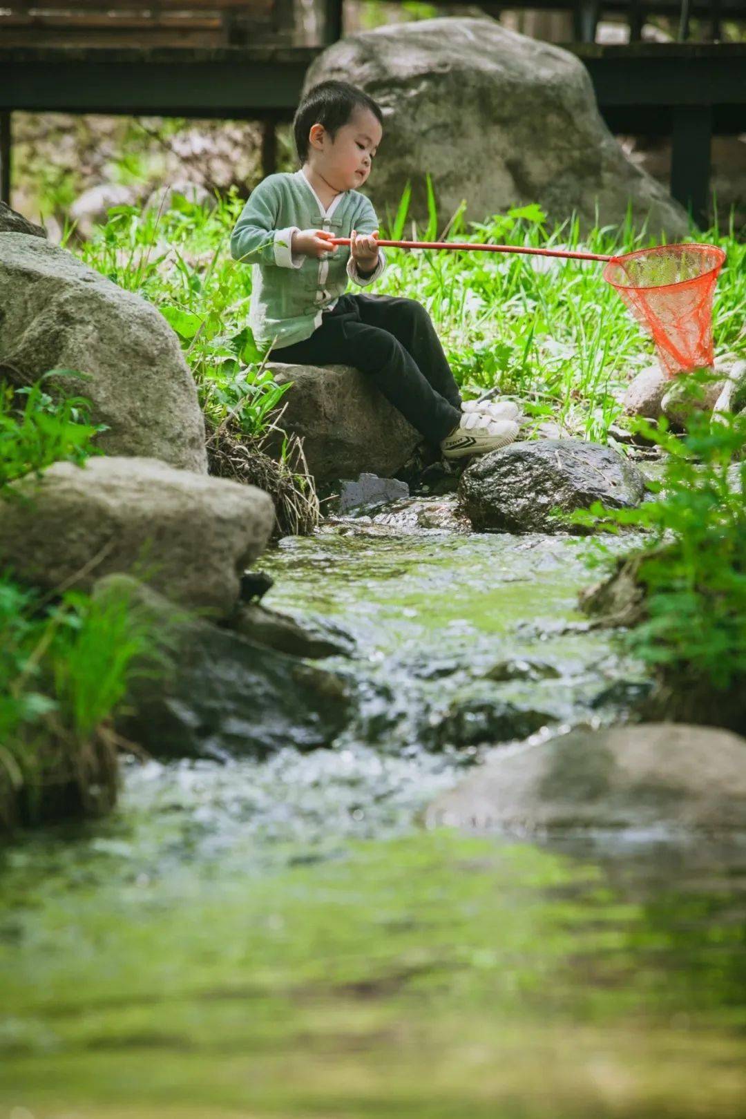 捉鱼，一场静谧与灵动的自然对话，静谧与灵动的自然对话，捉鱼的乐趣