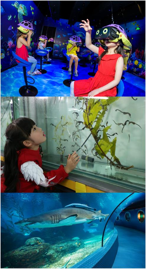 捉鱼视频全集，解锁自然与乐趣的奇妙之旅，解锁自然与乐趣，捉鱼视频全集的奇妙之旅