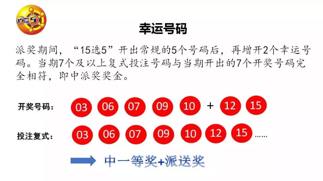 15选5开奖助手，智能选号，乐享幸运时刻，智能选号助手，15选5开奖的幸运之选