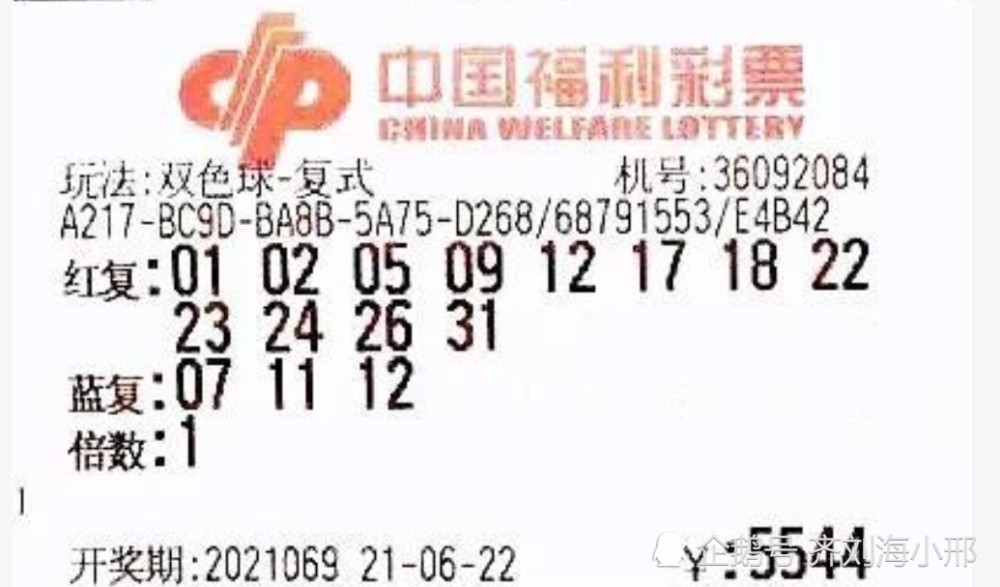 202376期双色球开奖揭晓，幸运数字的碰撞与期待，202376期双色球开奖揭晓，幸运数字的碰撞与期待